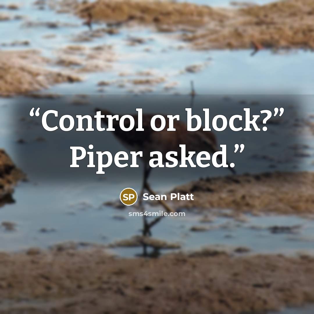 “Control or block?” Piper asked.” quote by Sean Platt