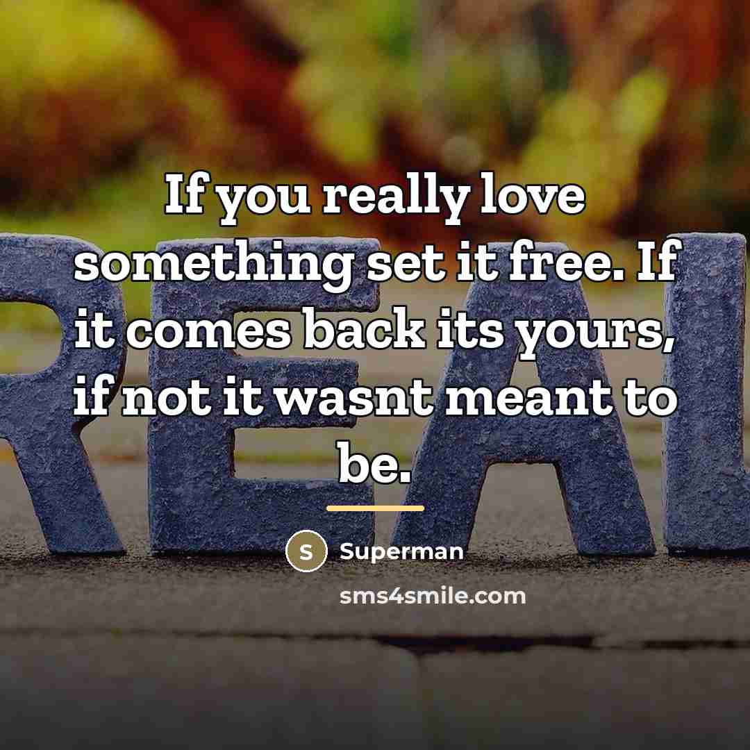 “If you really love something set it free. If it…” quote by Superman