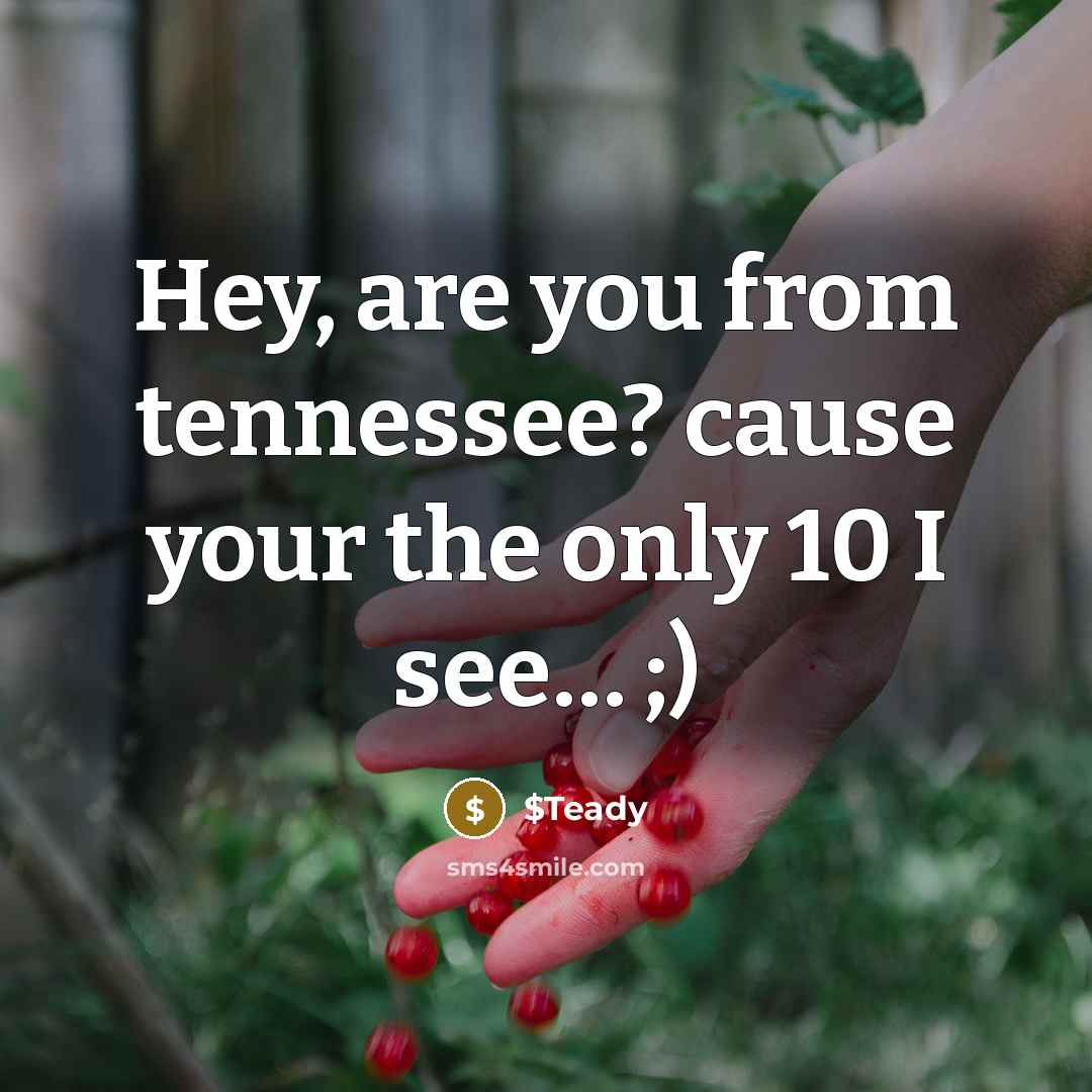 “Hey, are you from tennessee? cause your the only 10 I see… ;)” quote by $Teady
