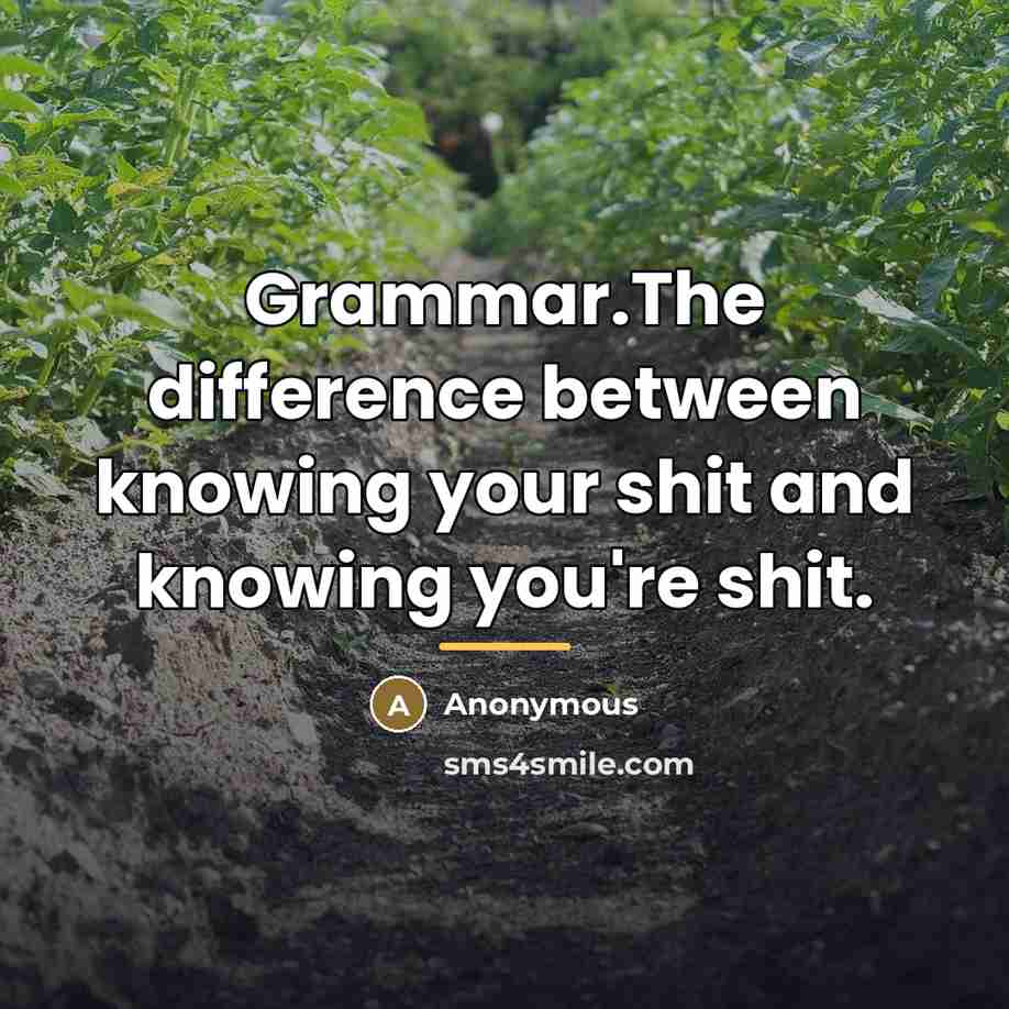 “Grammar.The difference between knowing your shit and knowing you're shit.…” quote by Anonymous