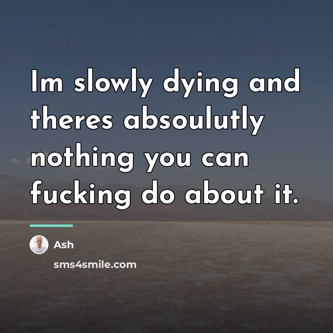 “Im slowly dying and theres absoulutly nothing you can fucking…” quote by Ash