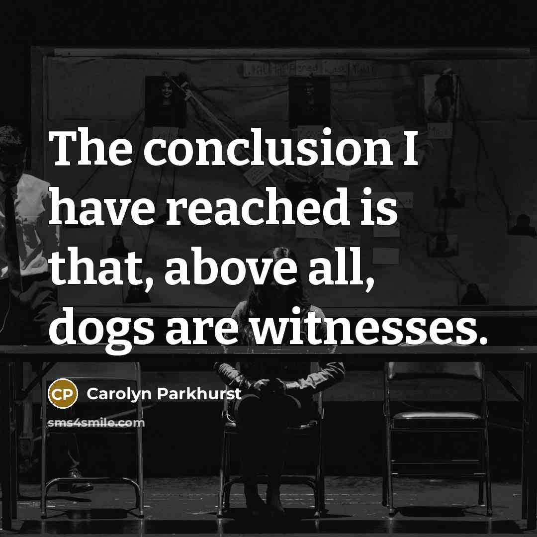 “The conclusion I have reached is that, above all, dogs…” quote by Carolyn Parkhurst