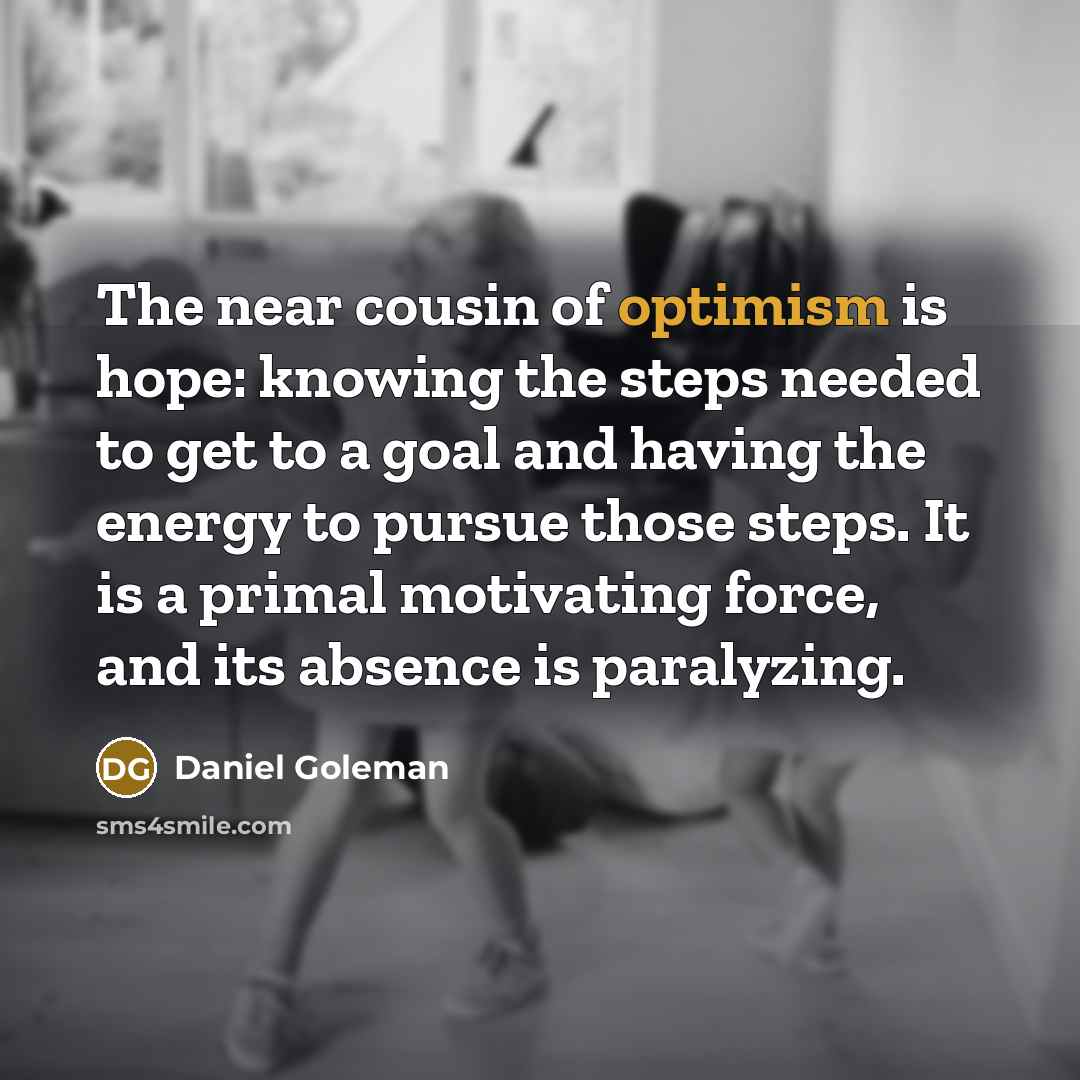 “The near cousin of optimism is hope: knowing the steps…” quote by Daniel Goleman