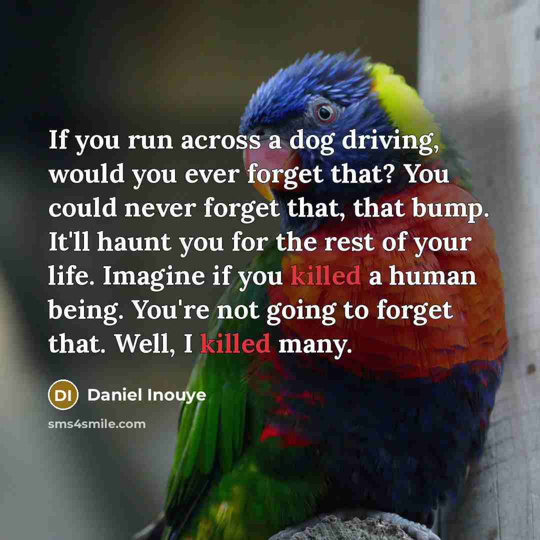 “If you run across a dog driving, would you ever forget that? You could never forget that, that bump. It'll haunt you for the rest of your life. Imagine if you killed a human being. You're not going to forget that. Well, I killed many.” quote by Daniel Inouye
