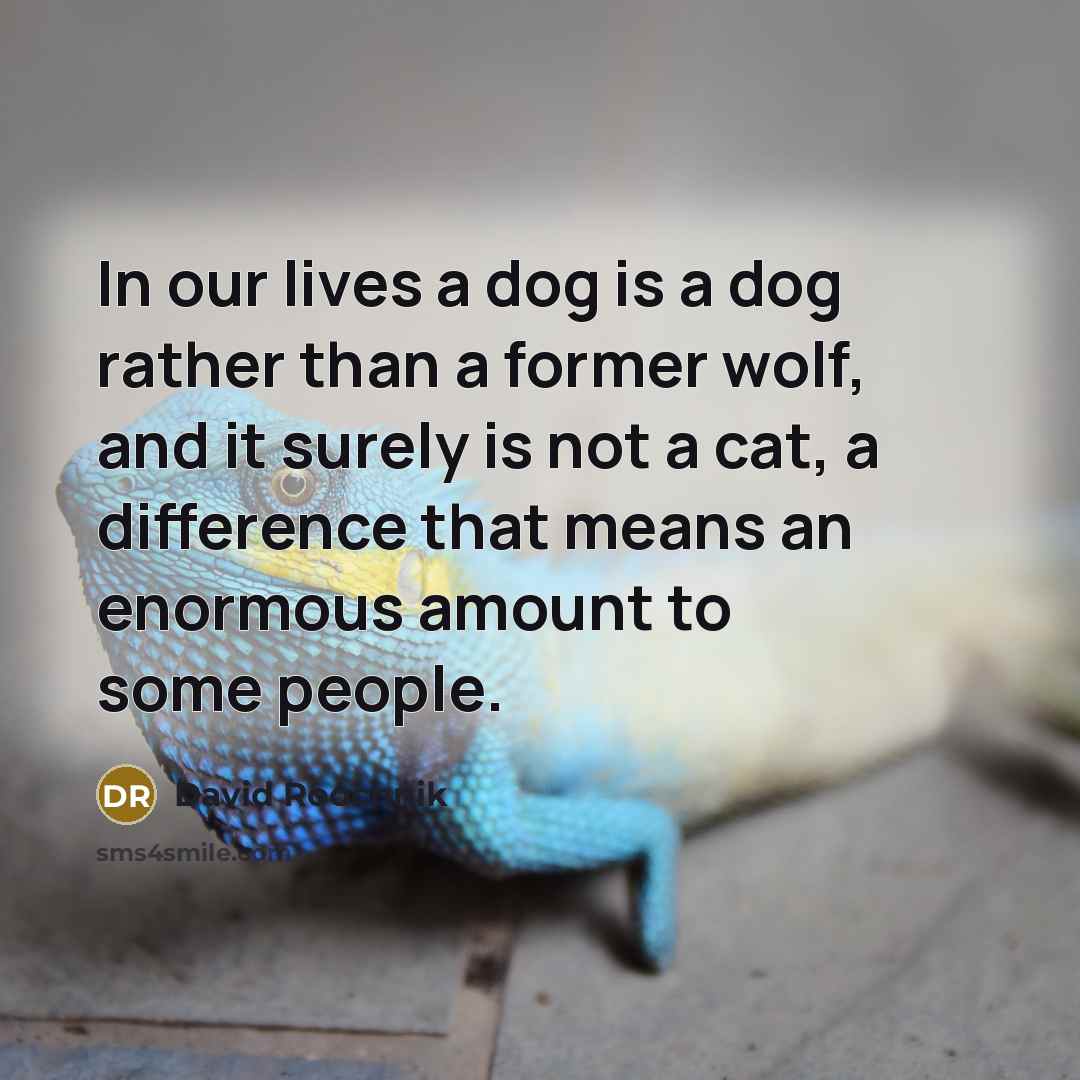 “In our lives a dog is a dog rather than a former wolf, and it surely is not a cat, a difference that means an enormous amount to some people.” quote by David Roochnik