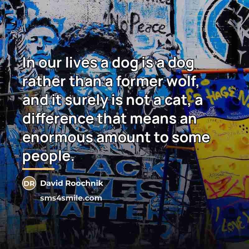 “In our lives a dog is a dog rather than…” quote by David Roochnik