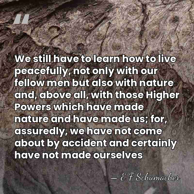 We still have to learn how to live peacefully, not only with&hellip; - E F Schumacher