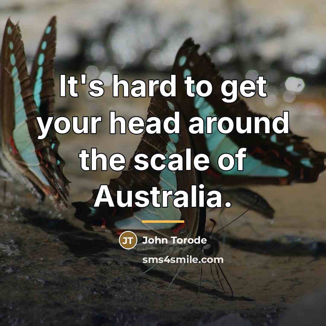 “It's hard to get your head around the scale of…” quote by John Torode