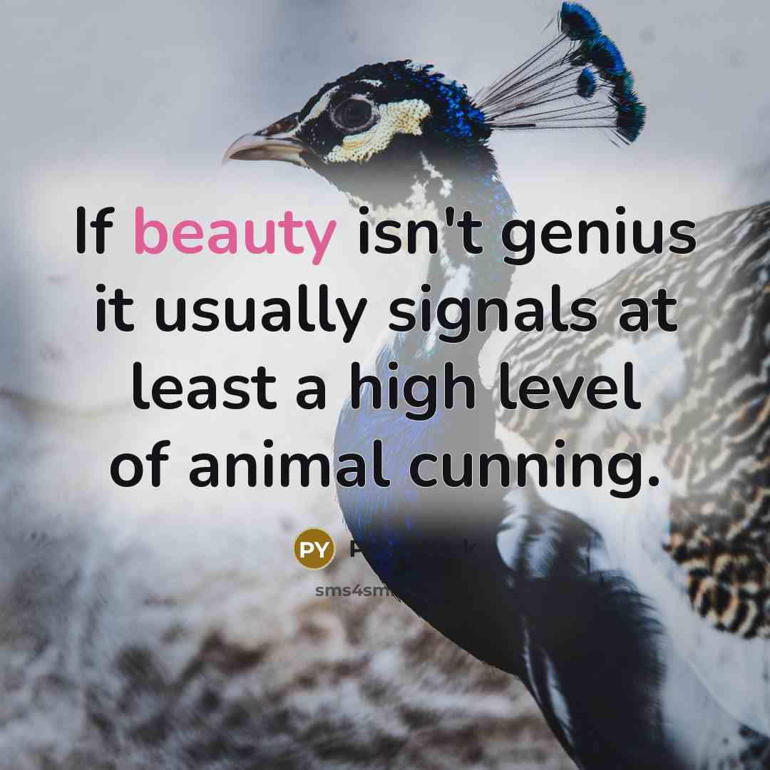“If beauty isn't genius it usually signals at least a…” quote by Peter York