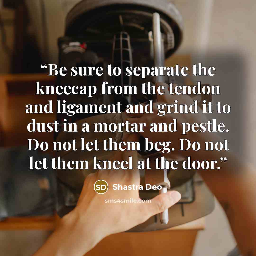 “Be sure to separate the kneecap from the tendon and ligament and grind it to dust in a mortar and pestle. Do not let them beg. Do not let them kneel at the door.” quote by Shastra Deo