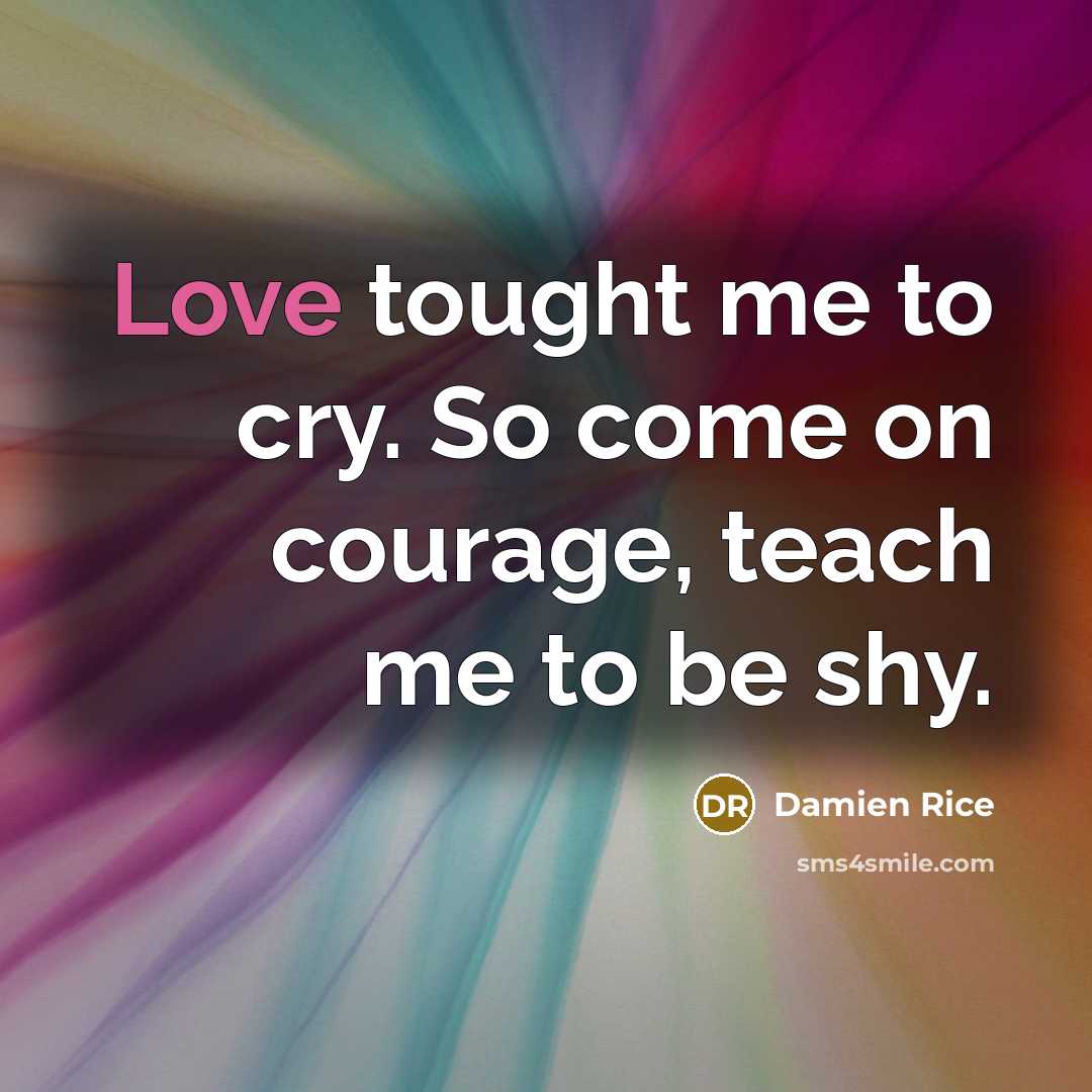 “Love tought me to cry. So come on courage, teach…” quote by Damien Rice