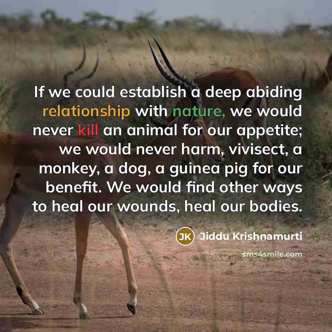 “If we could establish a deep abiding relationship with nature, we would never kill an animal for our appetite; we would never harm, vivisect, a monkey, a dog, a guinea pig for our benefit. We would find other ways to heal our wounds, heal our bodies.” quote by Jiddu Krishnamurti