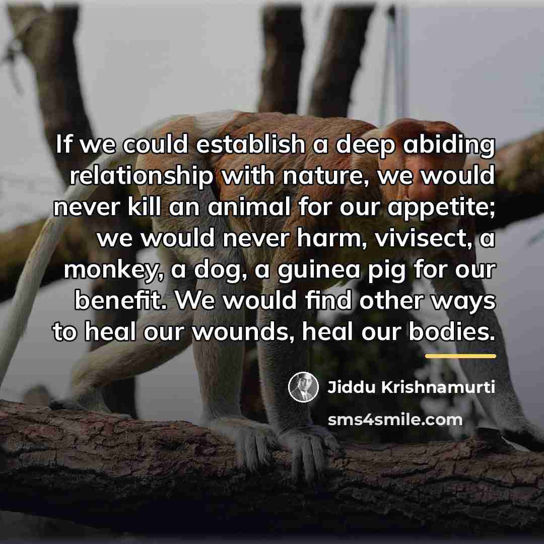 “If we could establish a deep abiding relationship with nature,…” quote by Jiddu Krishnamurti