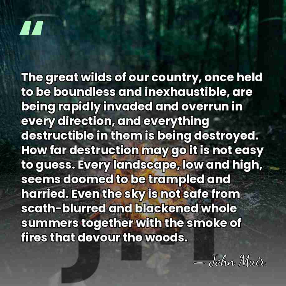 The great wilds of our country, once held to be boundless and&hellip; - John Muir
