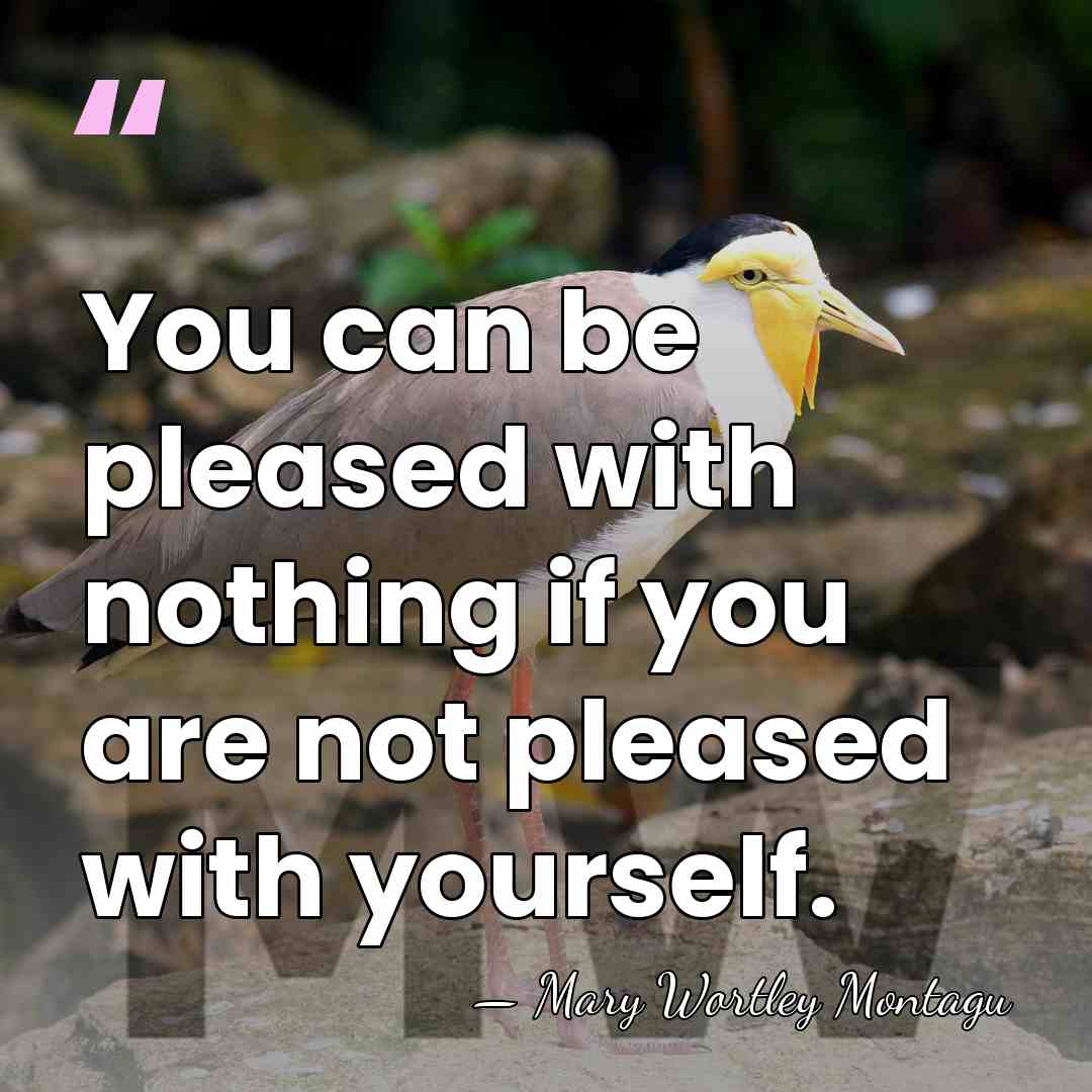You can be pleased with nothing if you are not pleased with&hellip; - Mary Wortley Montagu