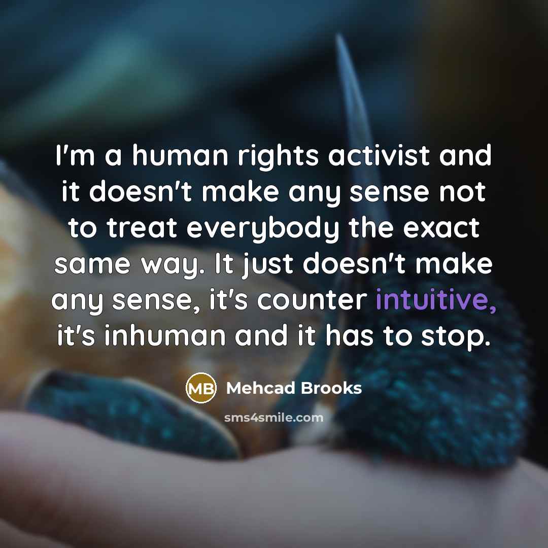 “I'm a human rights activist and it doesn't make any…” quote by Mehcad Brooks