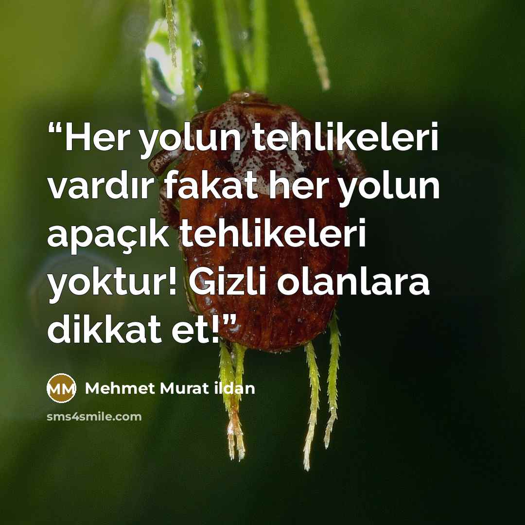 “Her yolun tehlikeleri vardır fakat her yolun apaçık tehlikeleri yoktur! Gizli olanlara dikkat et!” quote by Mehmet Murat ildan
