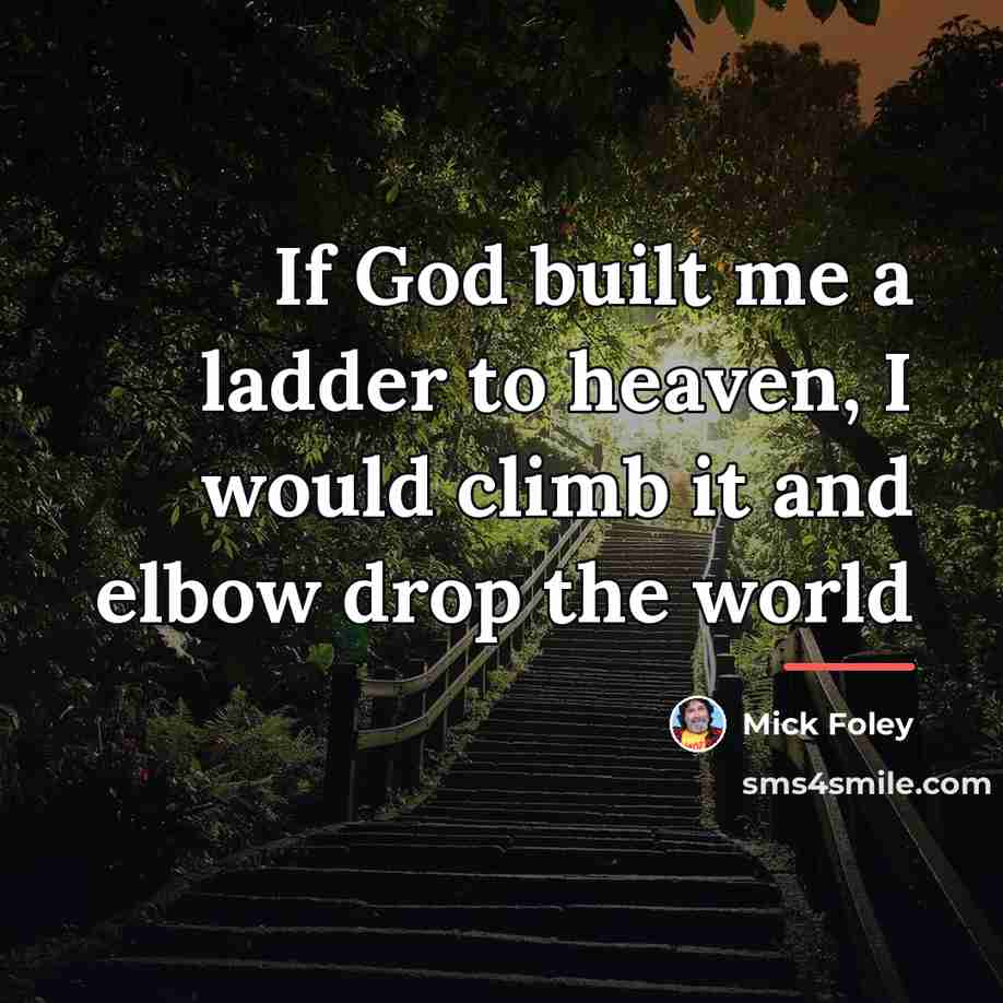 “If God built me a ladder to heaven, I would…” quote by Mick Foley