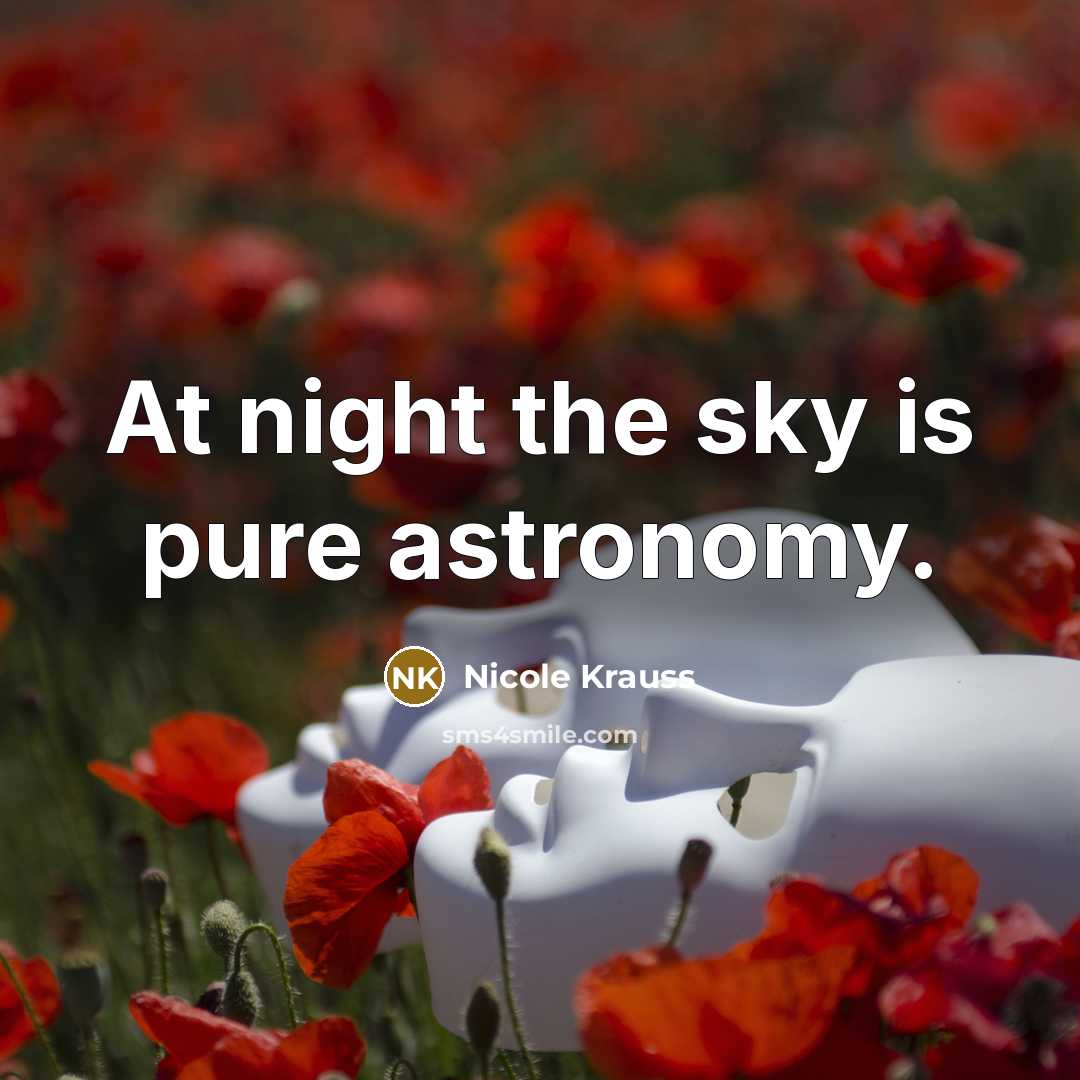 “At night the sky is pure astronomy.…” quote by Nicole Krauss
