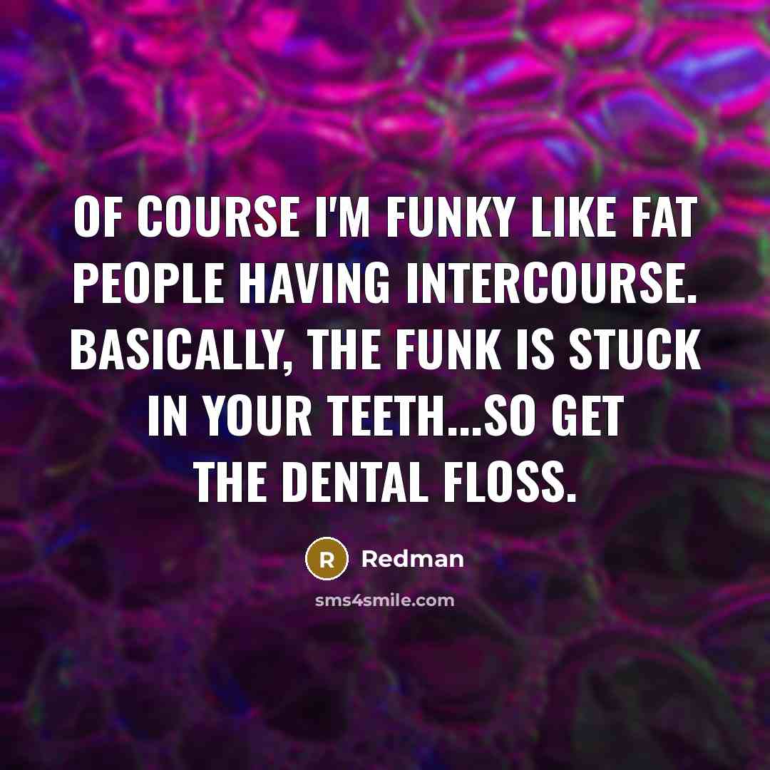“Of course I'm funky like fat people having intercourse. Basically,…” quote by Redman
