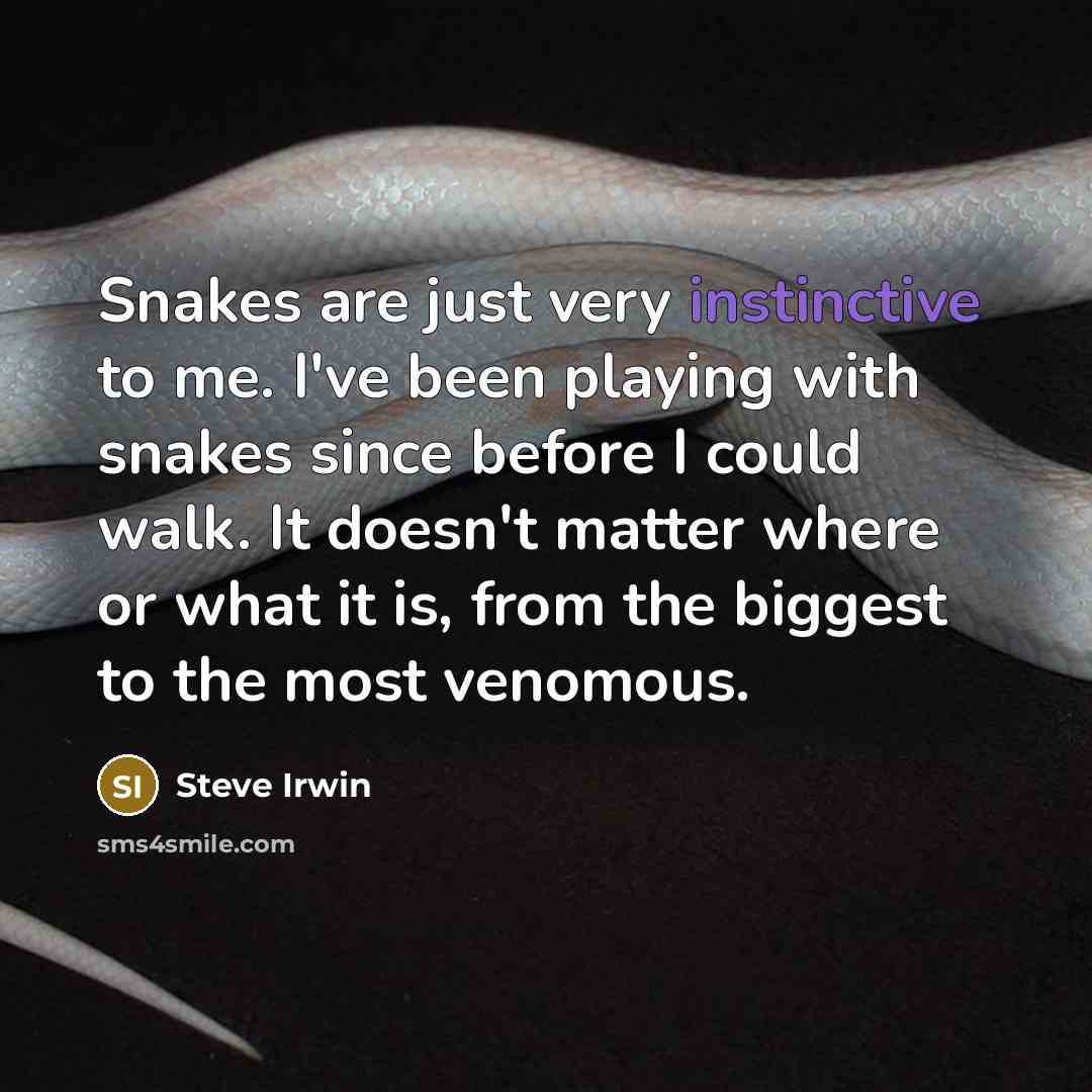 “Snakes are just very instinctive to me. I've been playing…” quote by Steve Irwin