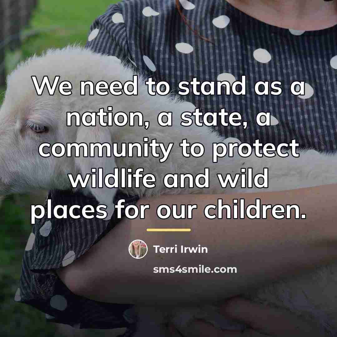 “We need to stand as a nation, a state, a…” quote by Terri Irwin