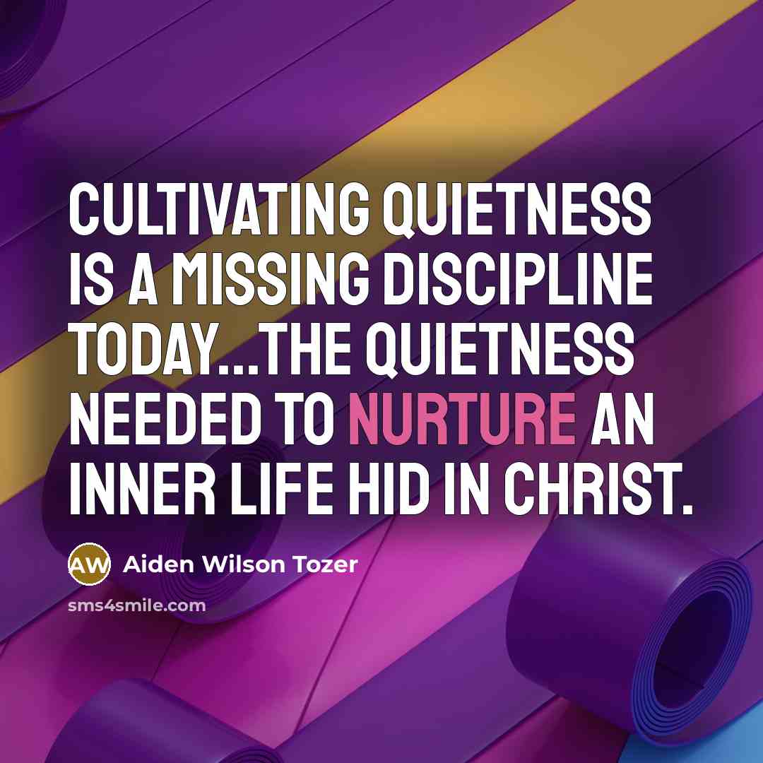 “Cultivating quietness is a missing discipline today...the quietness needed to…” quote by Aiden Wilson Tozer