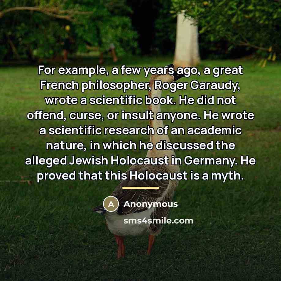 “For example, a few years ago, a great French philosopher,…” quote by Anonymous