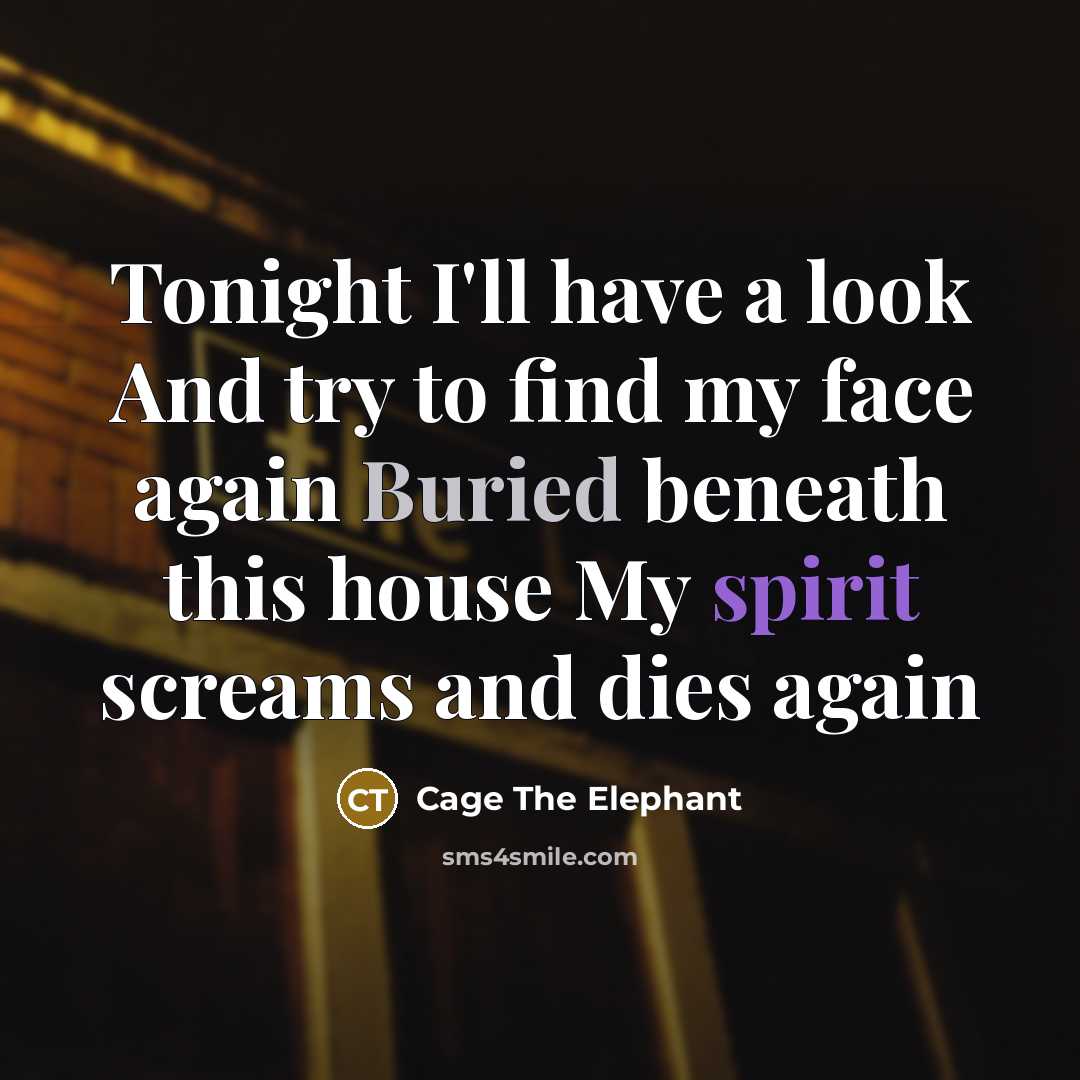 “Tonight I'll have a look And try to find my…” quote by Cage The Elephant