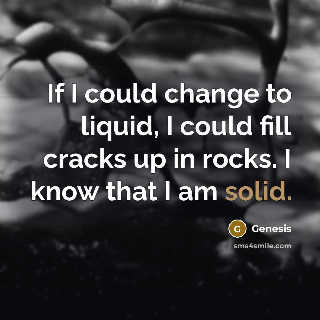 “If I could change to liquid, I could fill cracks up in rocks. I know that I am solid.” quote by Genesis