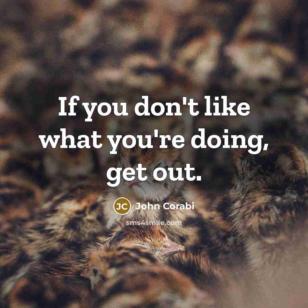 “If you don't like what you're doing, get out.…” quote by John Corabi