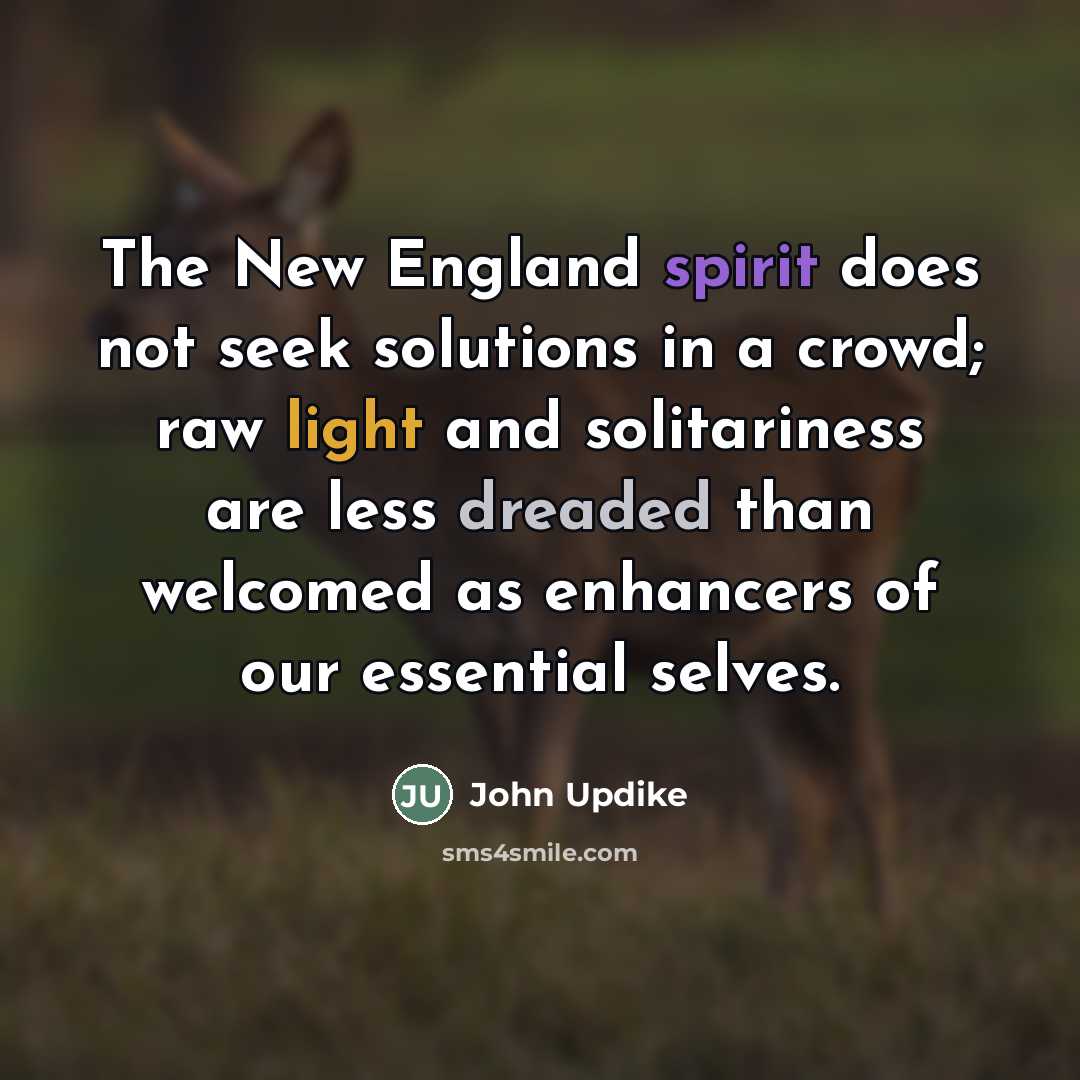 “The New England spirit does not seek solutions in a…” quote by John Updike