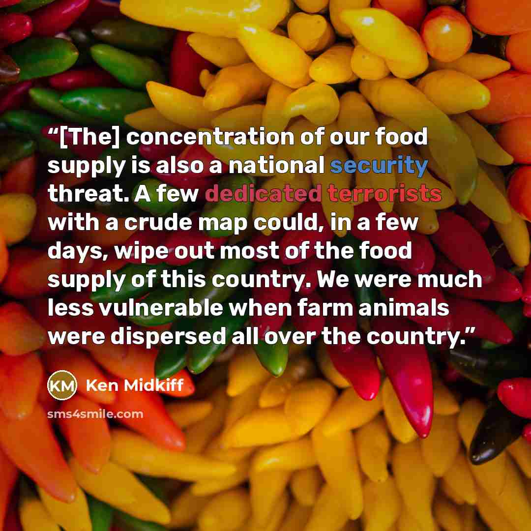 “[The] concentration of our food supply is also a national security threat. A few dedicated terrorists with a crude map could, in a few days, wipe out most of the food supply of this country. We were much less vulnerable when farm animals were dispersed all over the country.” quote by Ken Midkiff