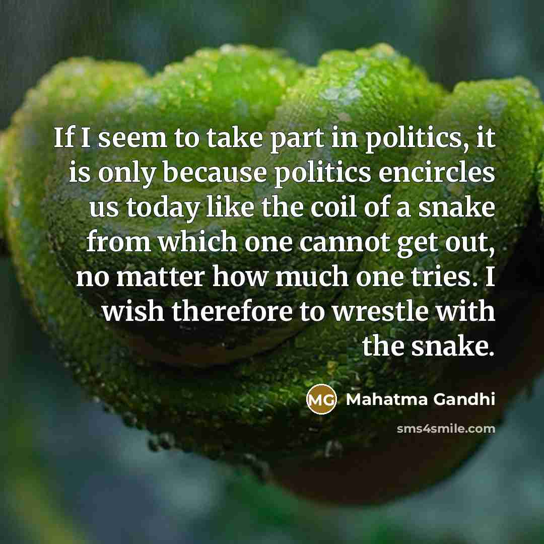 “If I seem to take part in politics, it is…” quote by Mahatma Gandhi