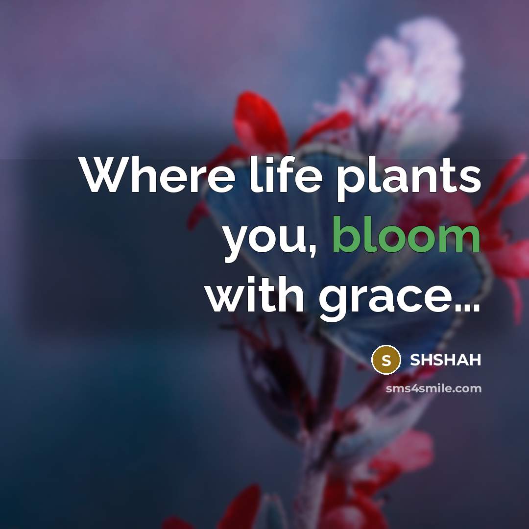 “Where life plants you, bloom with grace.....…” quote by SHSHAH