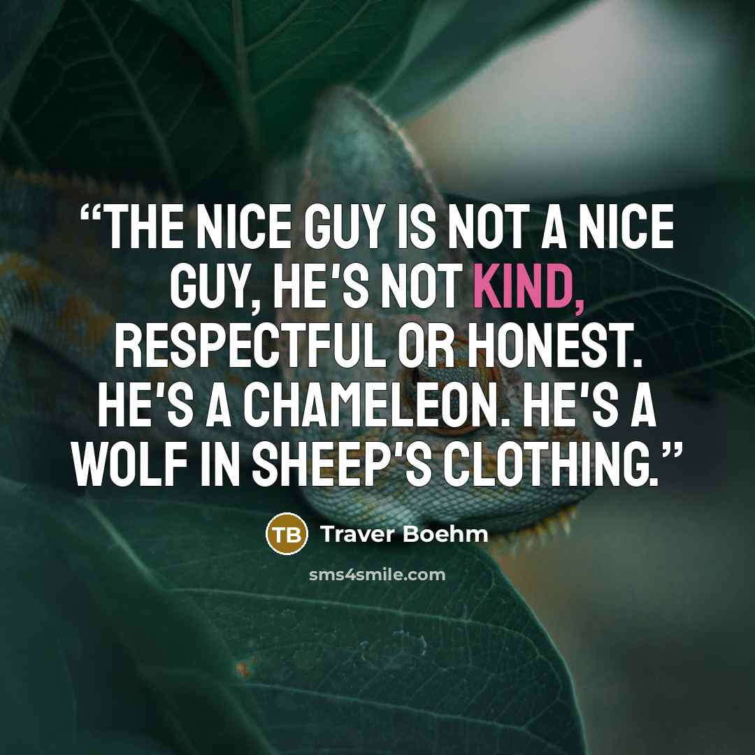 “The Nice Guy is not a nice guy, he's not kind, respectful or honest. He's a chameleon. He's a wolf in sheep's clothing.” quote by Traver Boehm