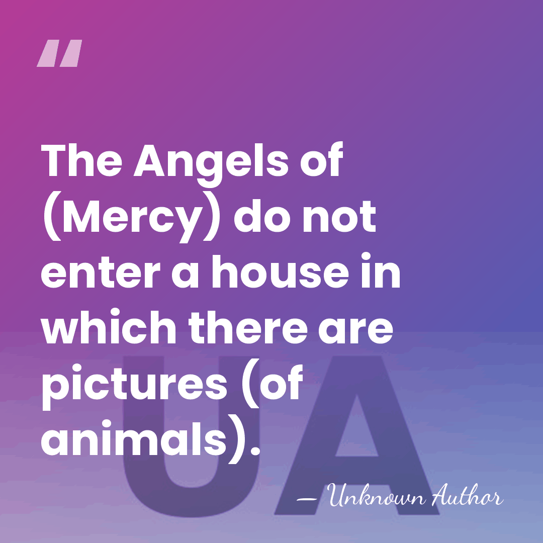The Angels of (Mercy) do not enter a house in which there&hellip; - Unknown Author