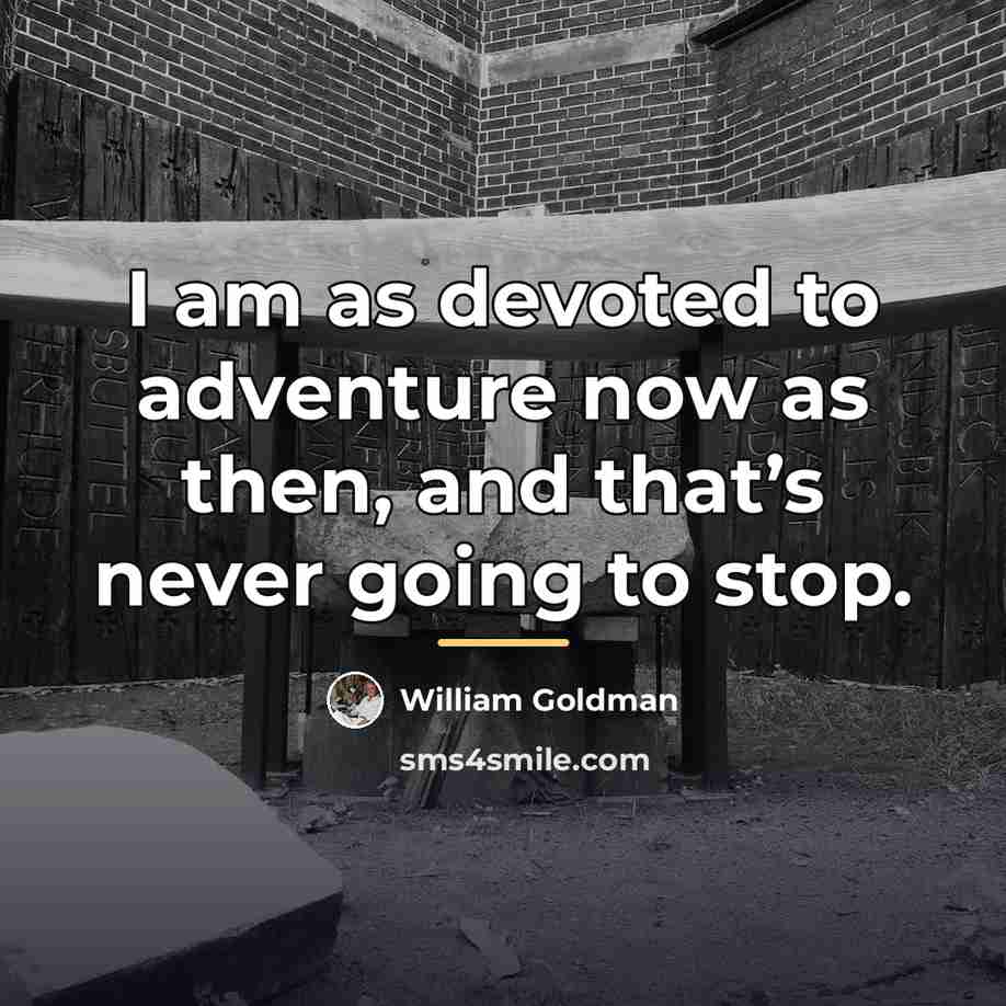 “I am as devoted to adventure now as then, and…” quote by William Goldman