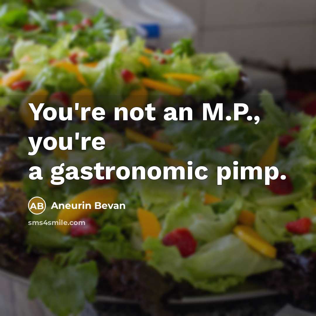 “You're not an M.P., you're a gastronomic pimp.” quote by Aneurin Bevan