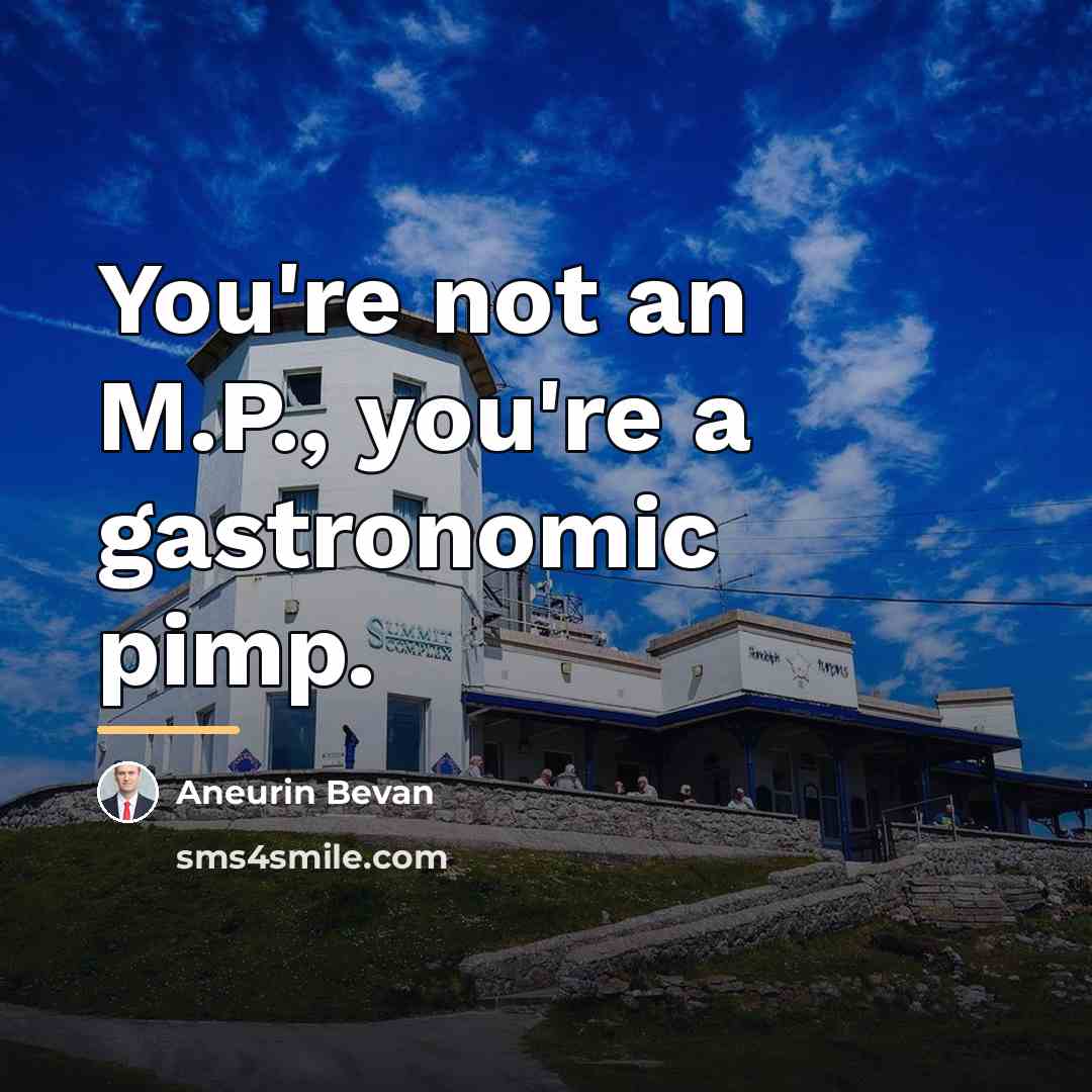 “You're not an M.P., you're a gastronomic pimp.…” quote by Aneurin Bevan