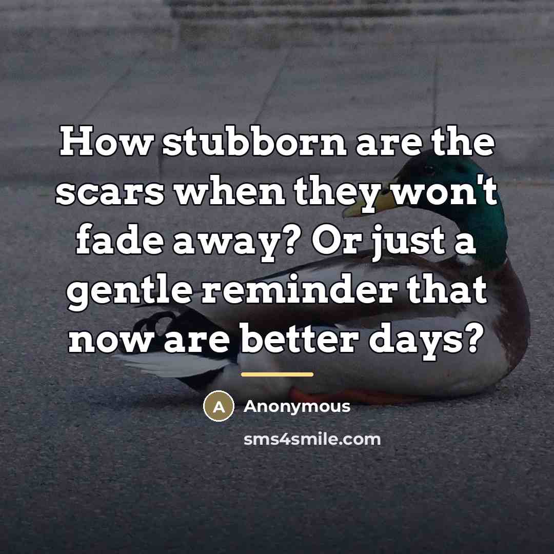 “How stubborn are the scars when they won't fade away?…” quote by Anonymous