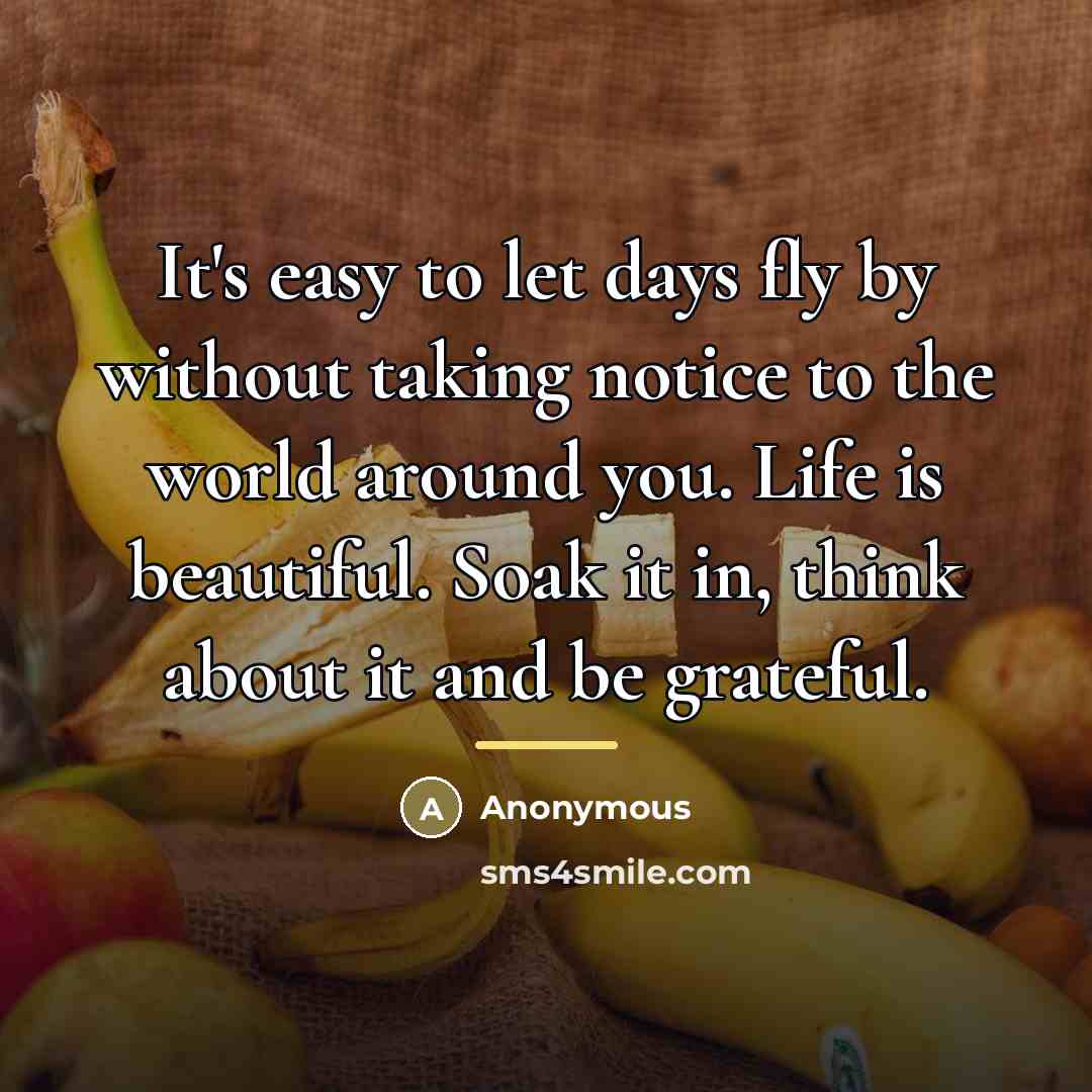 “It's easy to let days fly by without taking notice…” quote by Anonymous