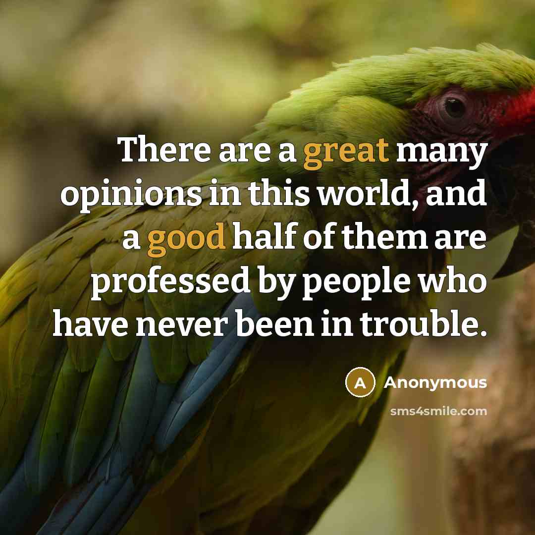 “There are a great many opinions in this world, and a good half of them are professed by people who have never been in trouble.” quote by Anonymous