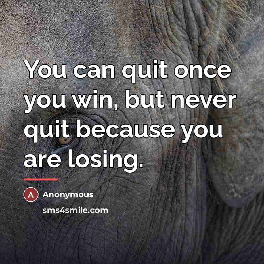 “You can quit once you win, but never quit because…” quote by Anonymous