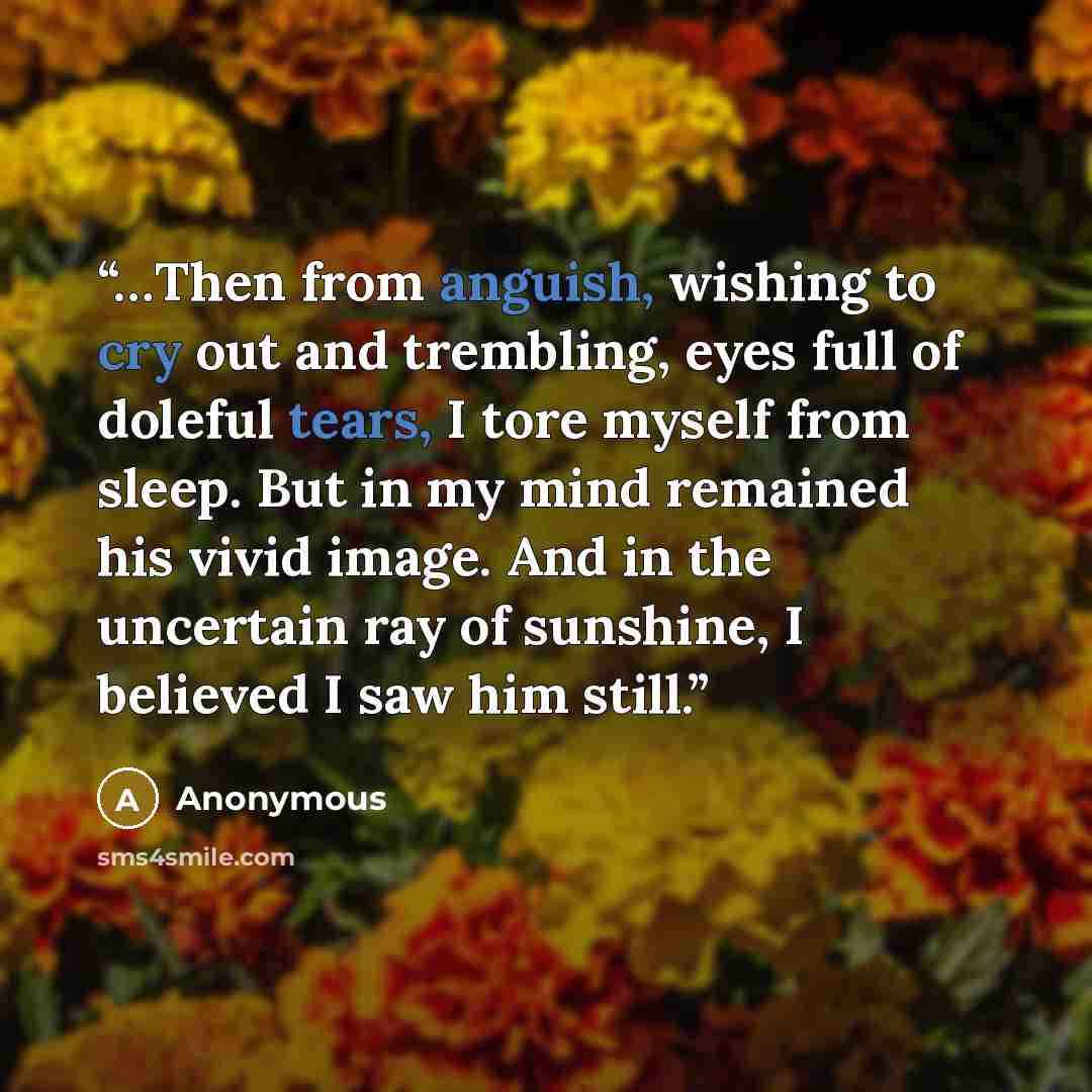 “…Then from anguish, wishing to cry out and trembling, eyes full of doleful tears, I tore myself from sleep. But in my mind remained his vivid image. And in the uncertain ray of sunshine, I believed I saw him still.” quote by Anonymous