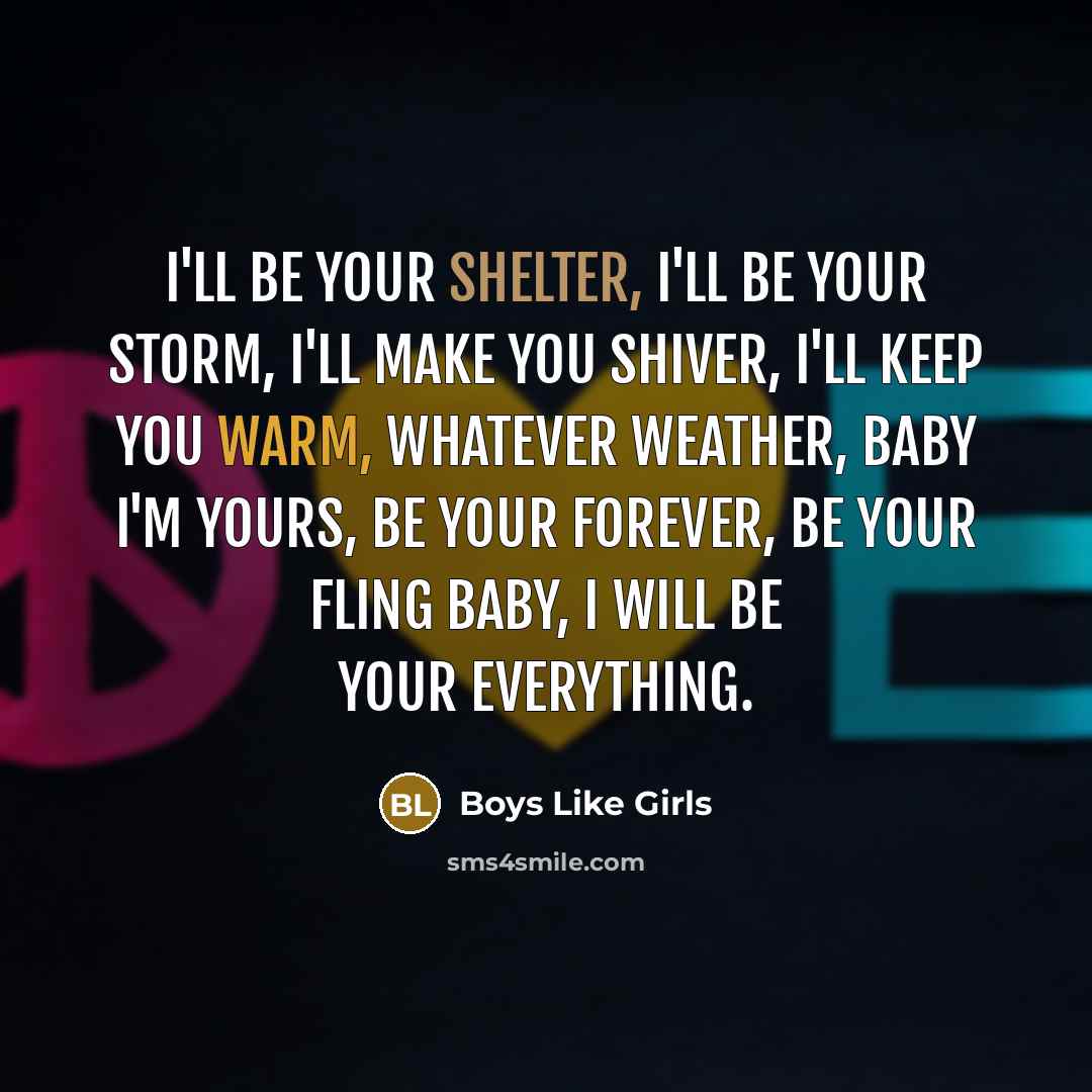 “I'll be your shelter, I'll be your storm, I'll make…” quote by Boys Like Girls