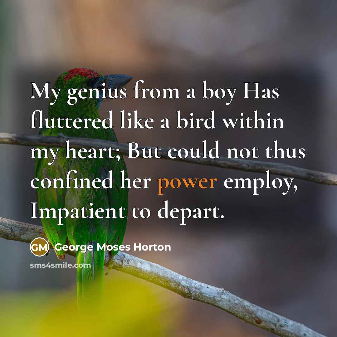 “My genius from a boy Has fluttered like a bird…” quote by George Moses Horton