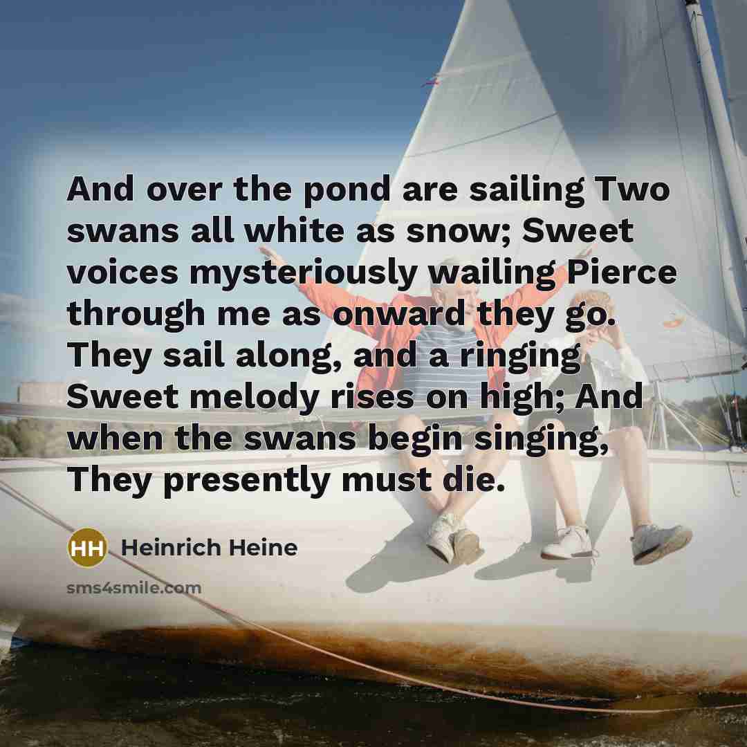“And over the pond are sailing Two swans all white…” quote by Heinrich Heine