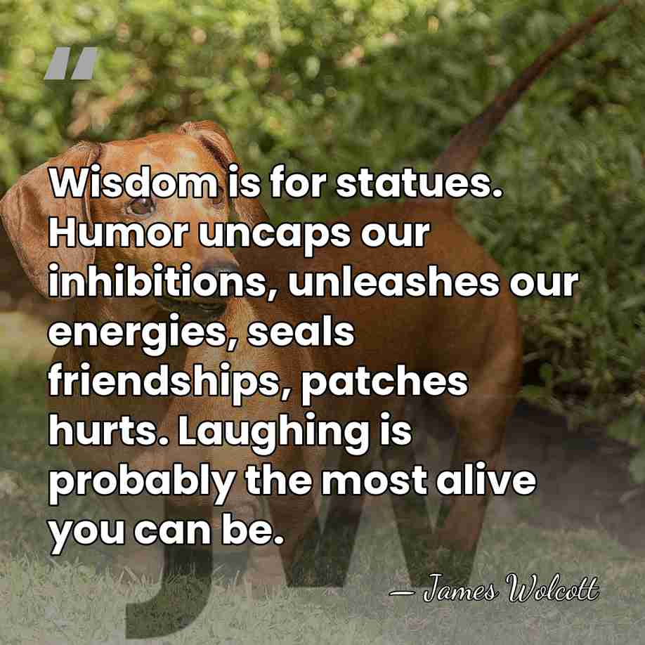 Wisdom is for statues. Humor uncaps our inhibitions, unleashes our energies, seals&hellip; - James Wolcott