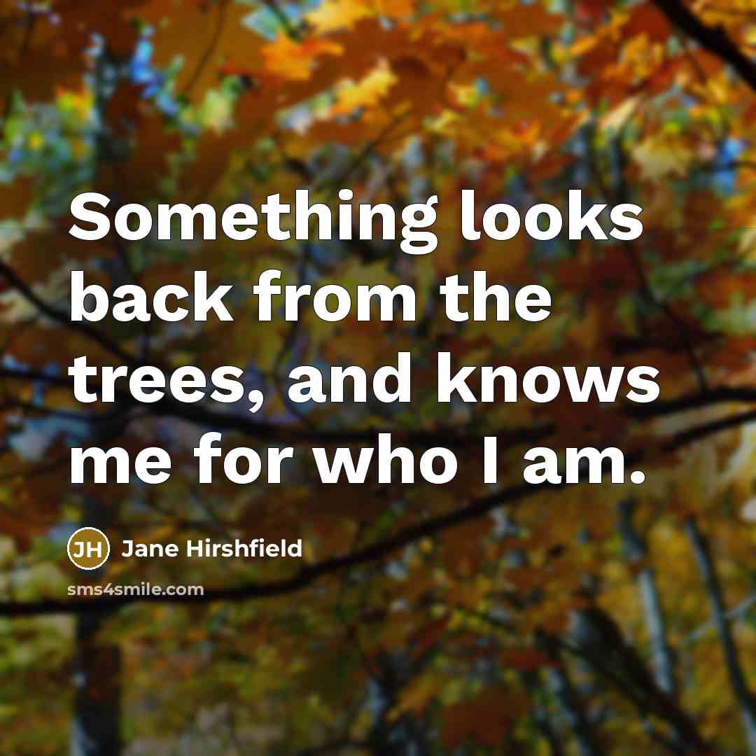 “Something looks back from the trees, and knows me for…” quote by Jane Hirshfield